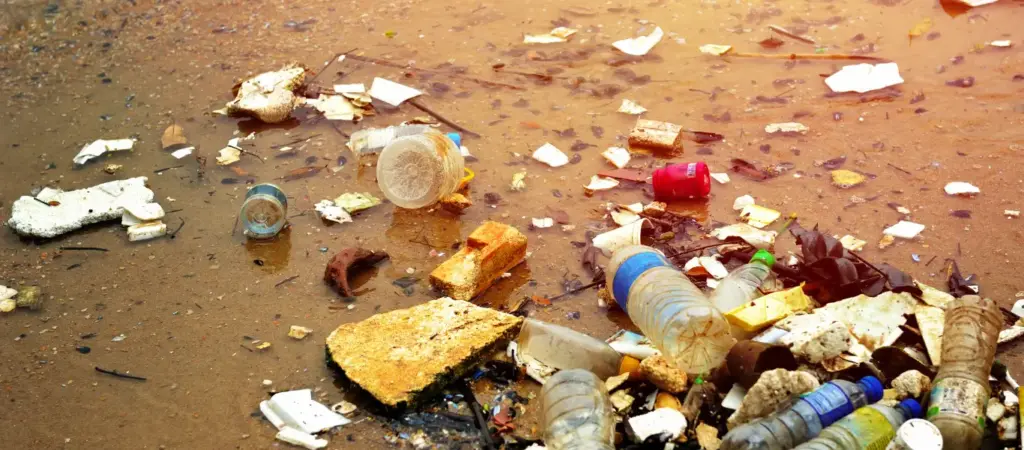 Plastic Pollution