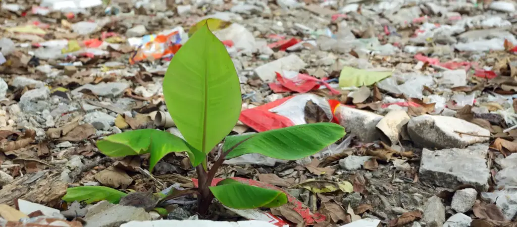 Plastic garbage landfill