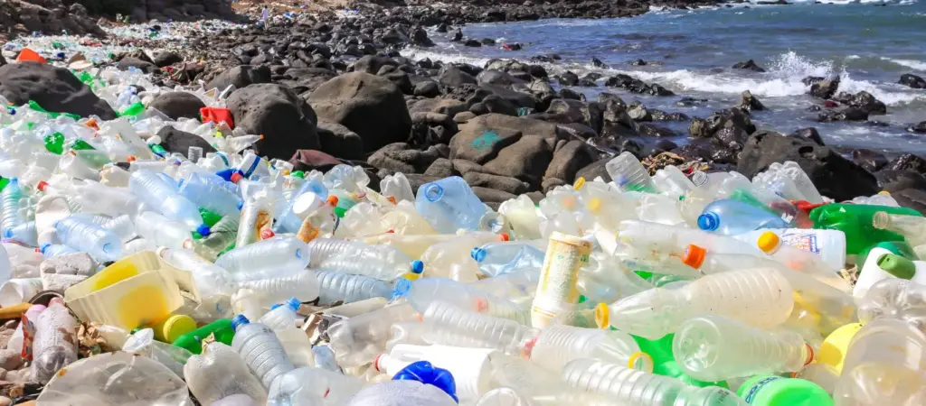 plastic pollution
