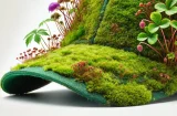 All Eco Friendly Collections