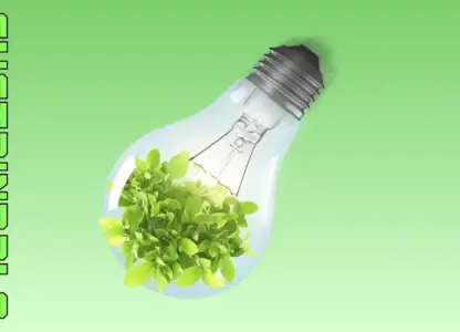 Sustainable Fabrics Regenerated, Bio-based and Biodegradable Era
